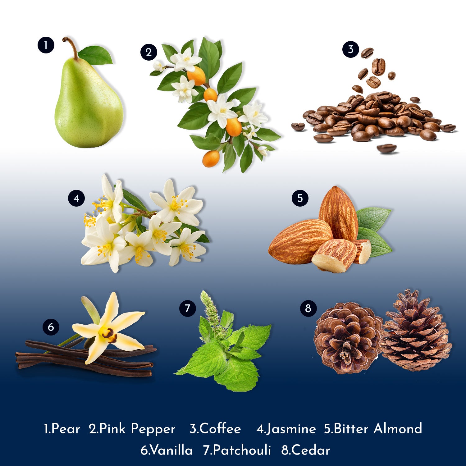A grid of eight natural ingredients, including Pear, Pink Pepper, Coffee, Jasmine, Bitter Almond, Vanilla, Patchouli and Cedar, that make up a perfume&