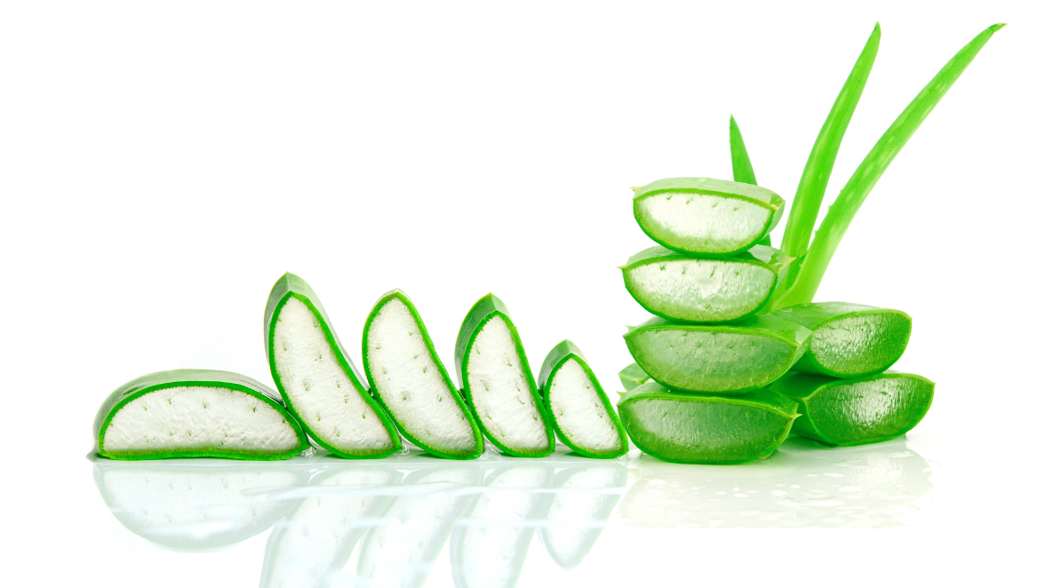 BENEFITS OF USING ALOE VERA